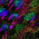 Illustration for article titled These spectacular images show why they call it the ‘OMG’ microscope